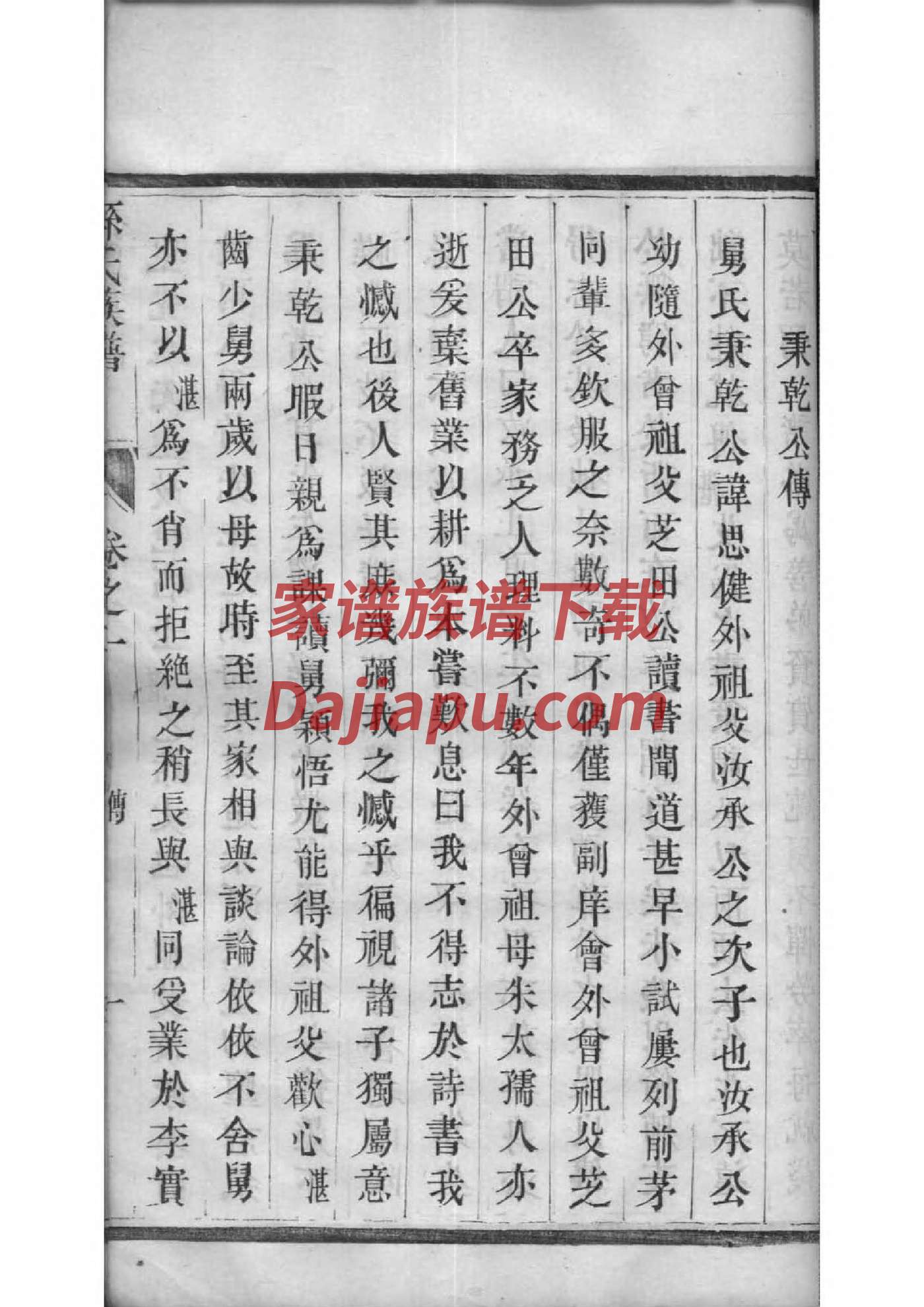 家谱又漂亮又简单画