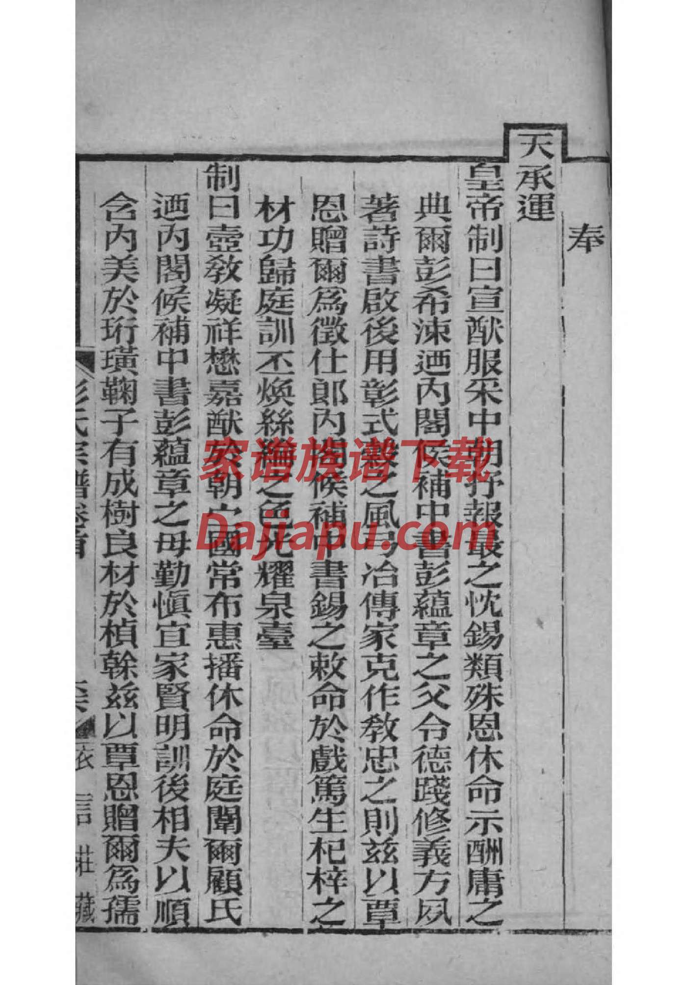 家谱哪里有卖的
