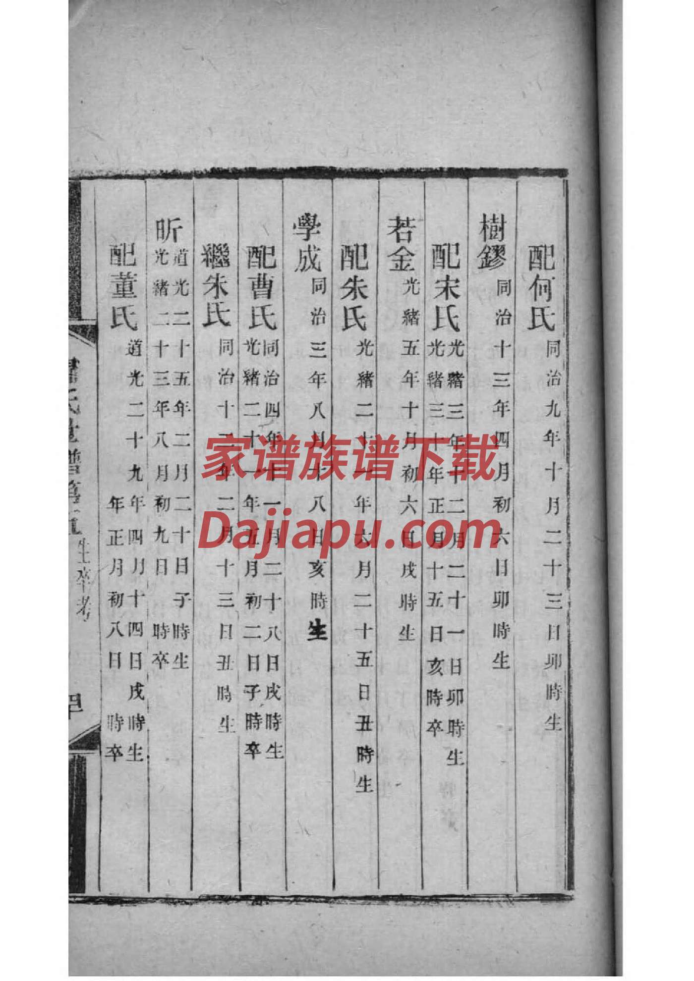 顾氏家谱族谱数据库
