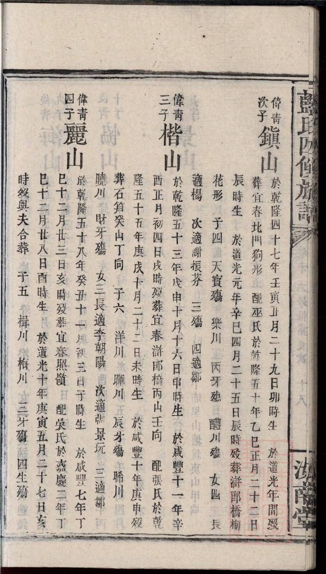 如何制作家谱图片