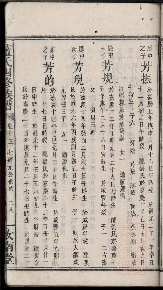 巴氏家谱查询一览表