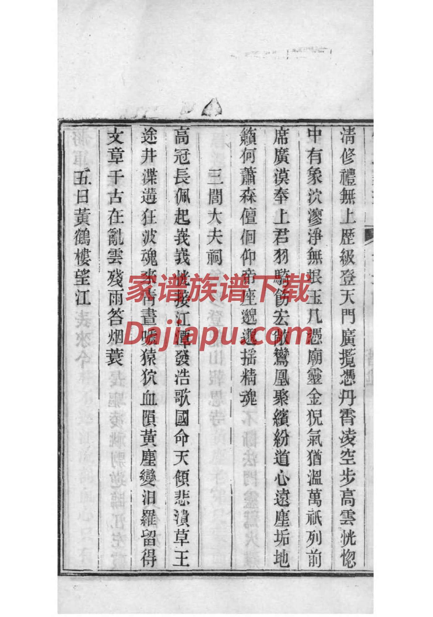布氏家谱查询一览表