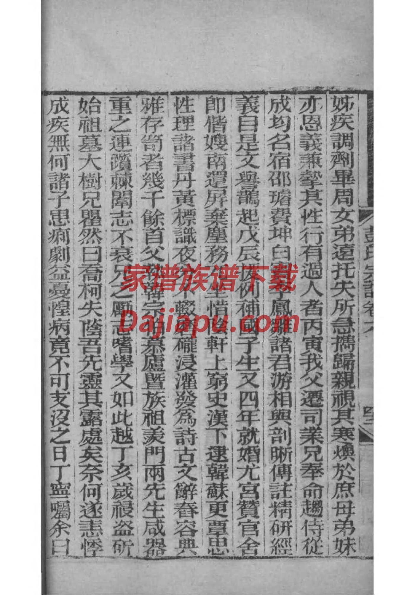 过年如何挂家谱图
