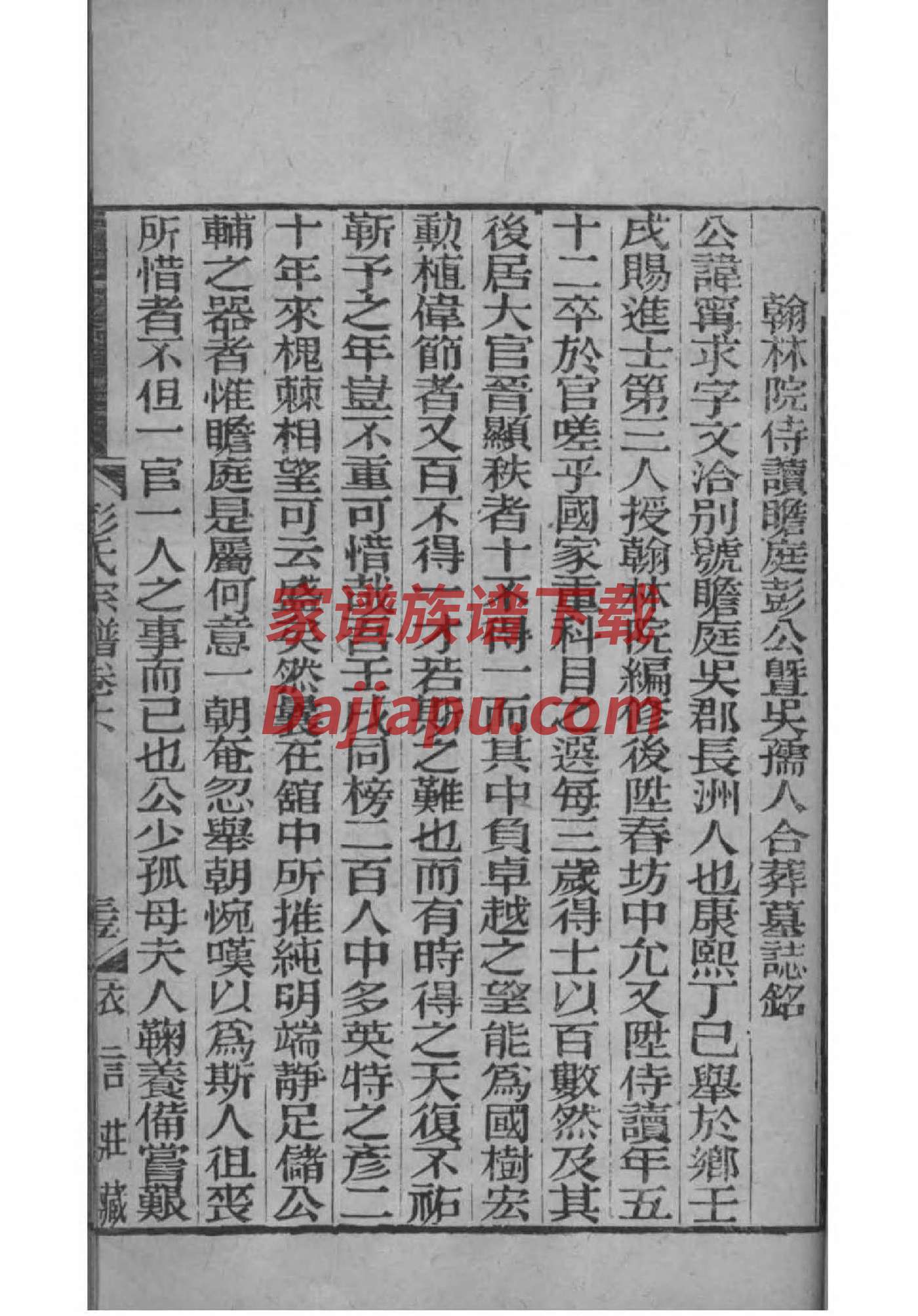 赛氏家谱查询一览表