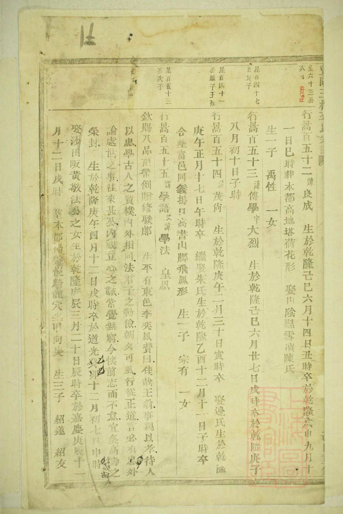 家谱模板世系图