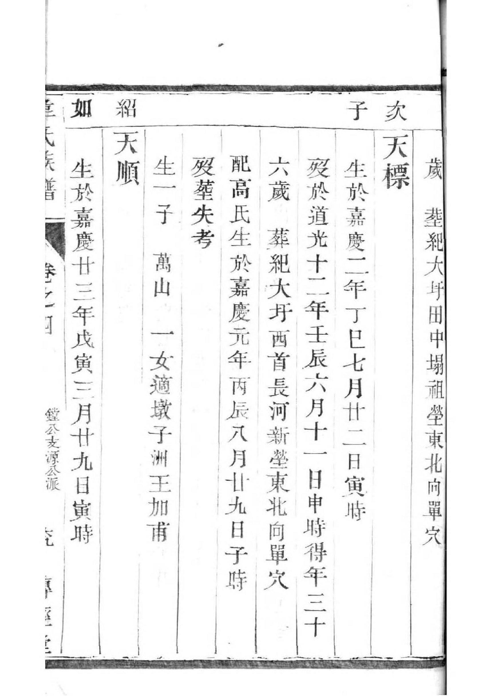 家庭家谱