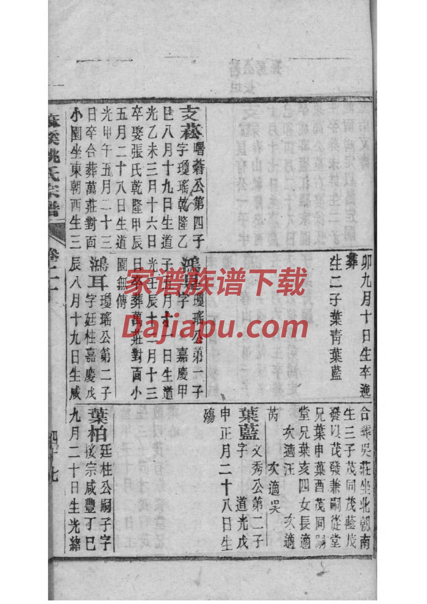 保姓辈分排行世系表