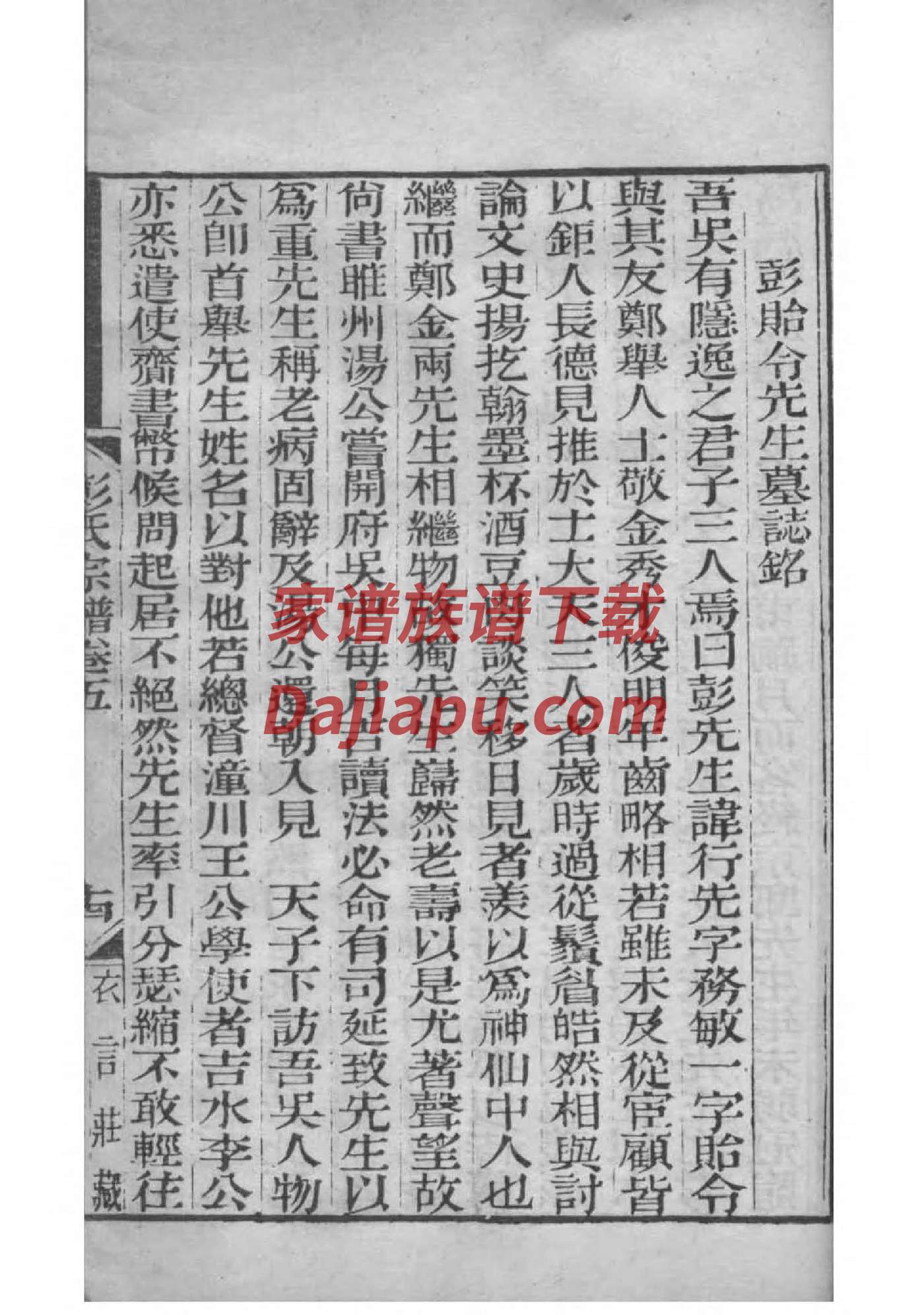 精装家谱
