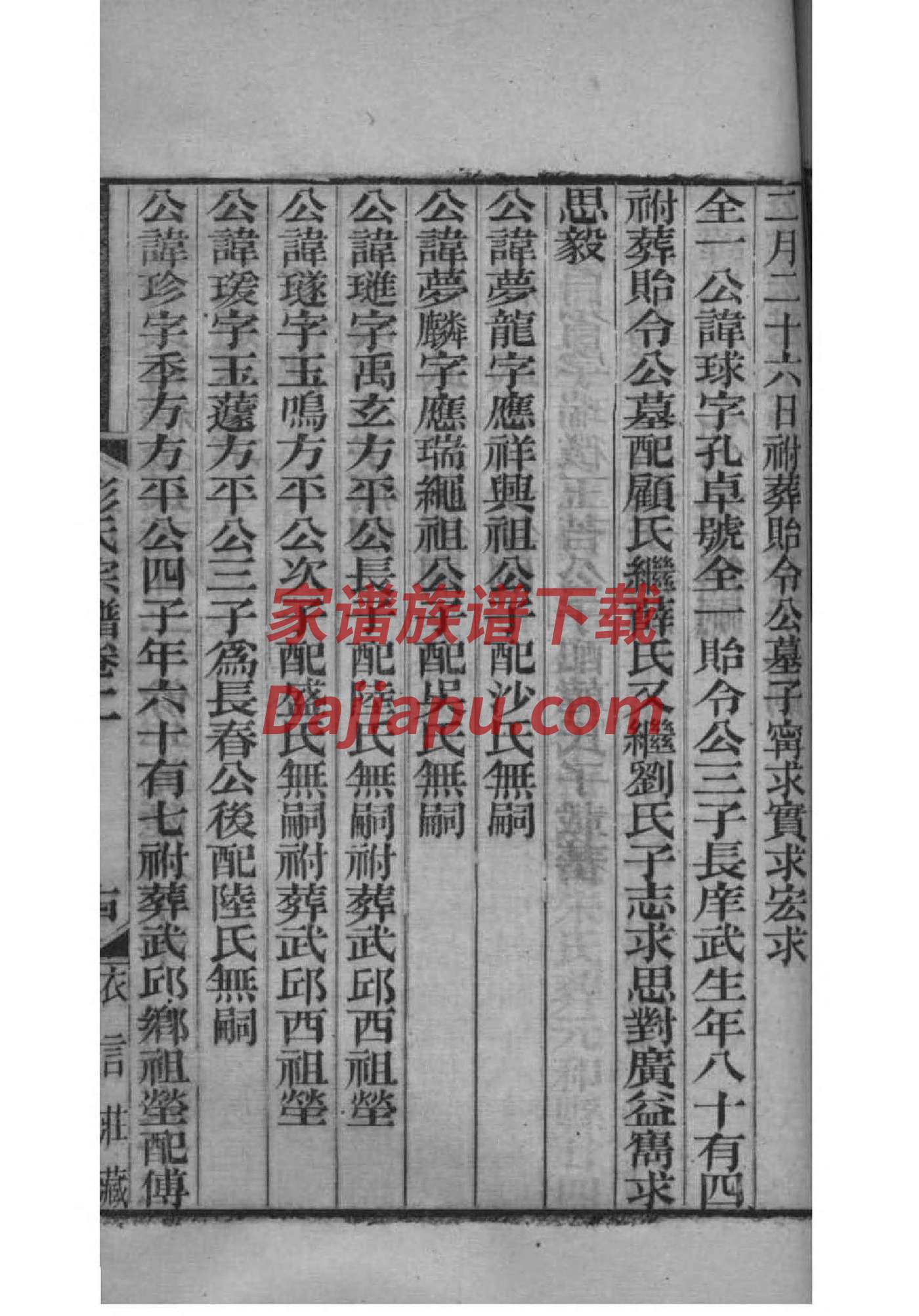 杨家将家谱全文