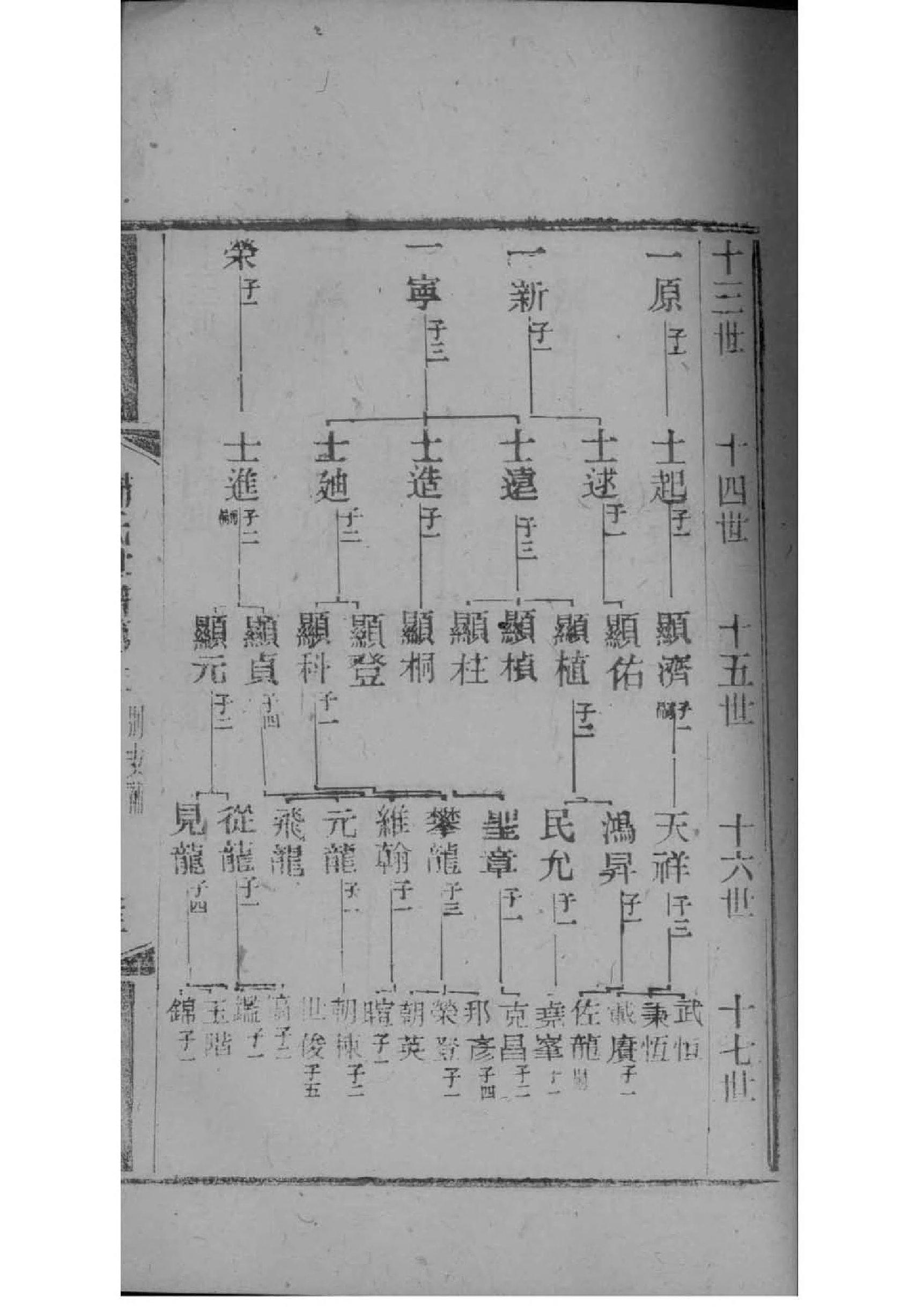 拓跋氏家谱族谱数据库