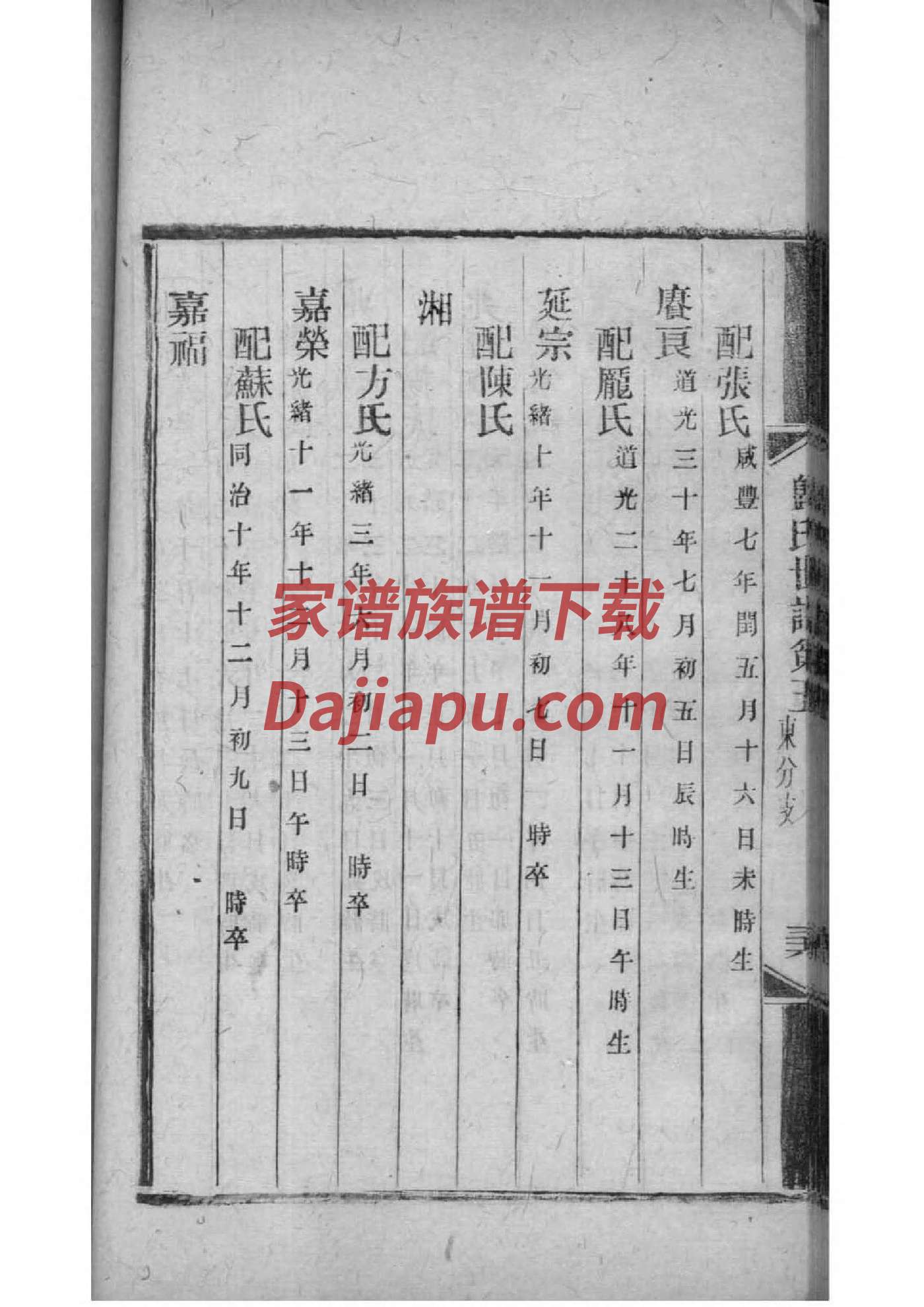 创意的家谱设计
