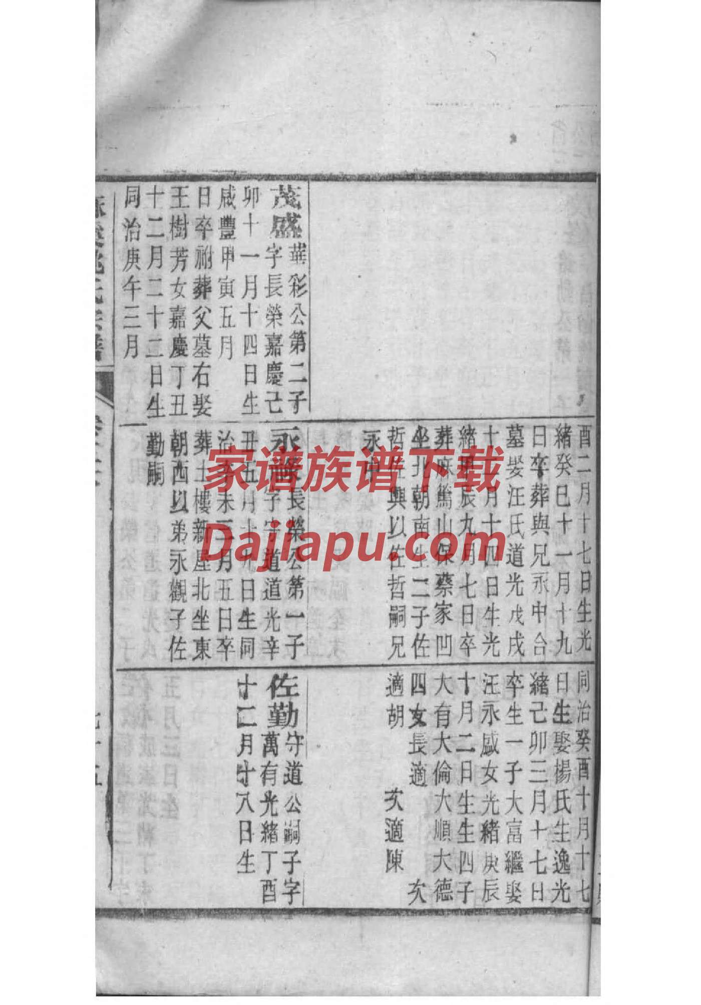 杨氏宗祠牌匾