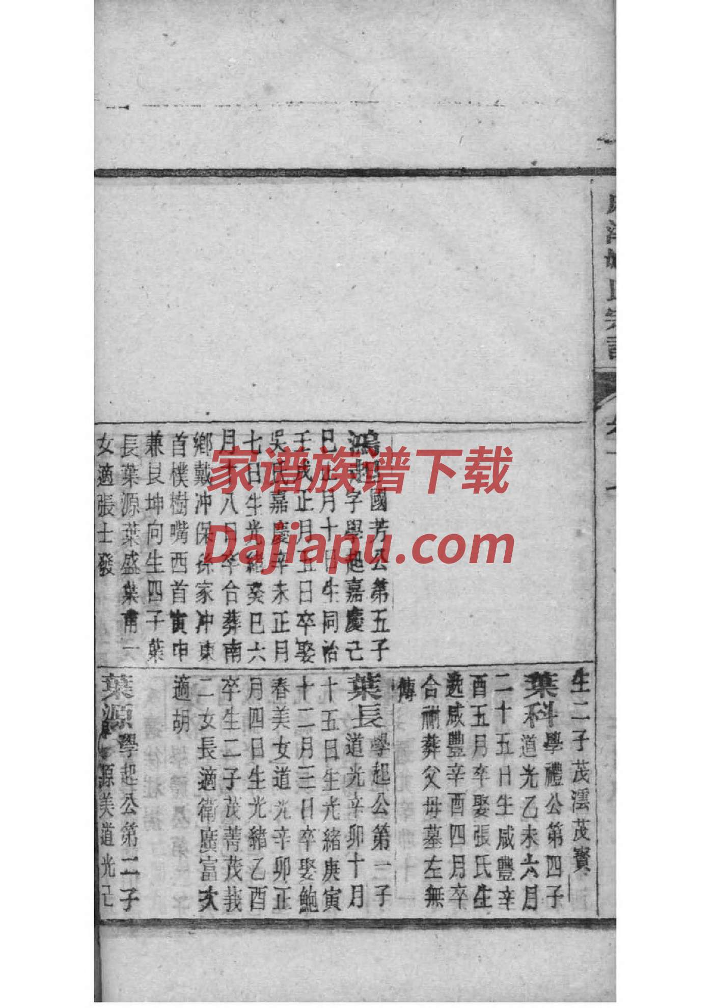 拓氏族谱字辈大全