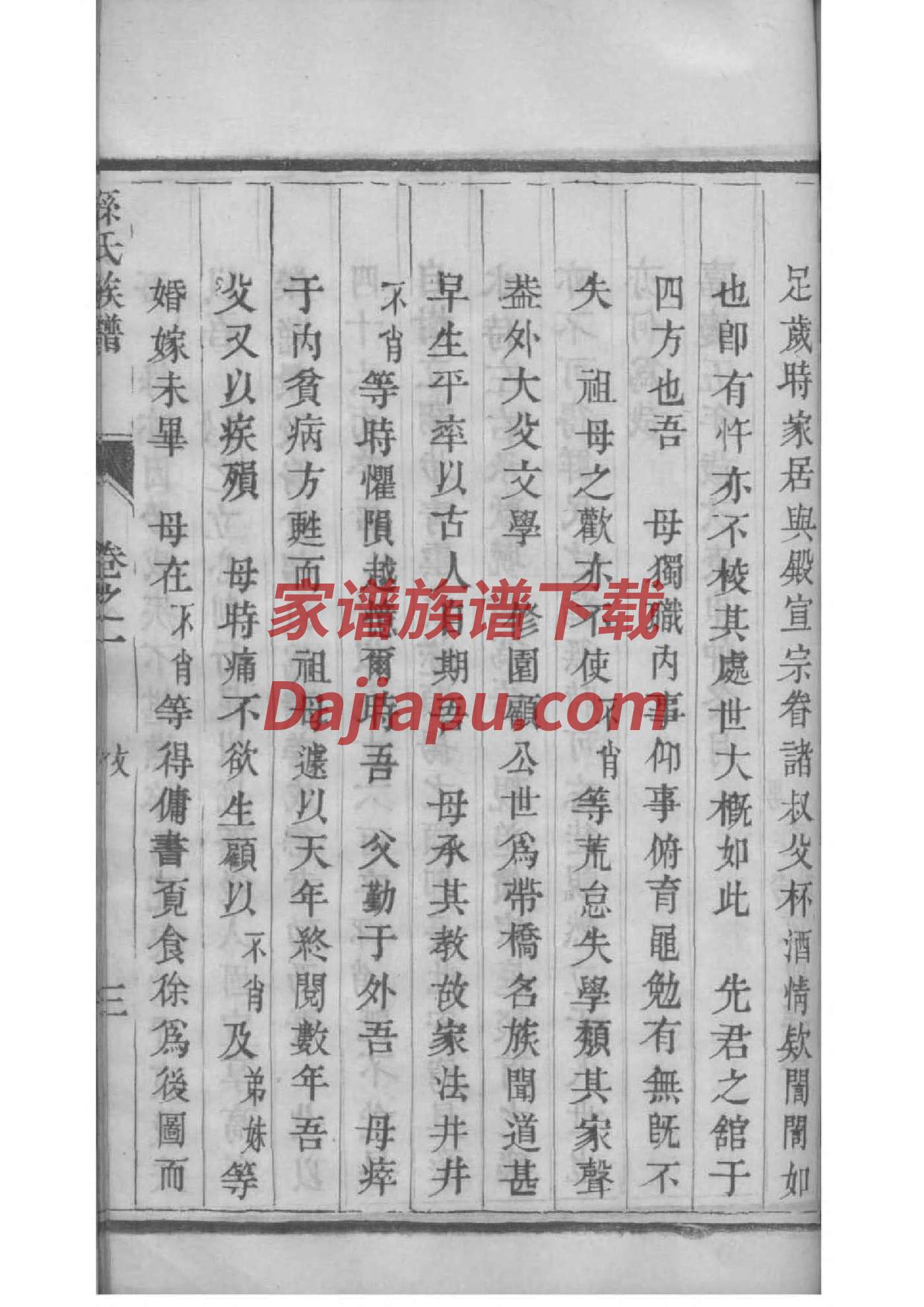 家谱到底是什么意思
