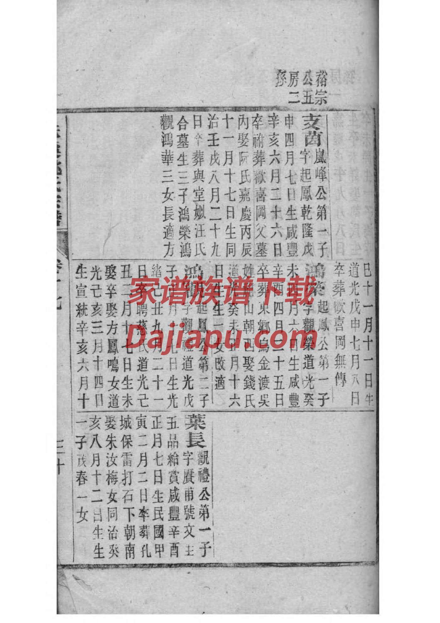 家谱图的示意图