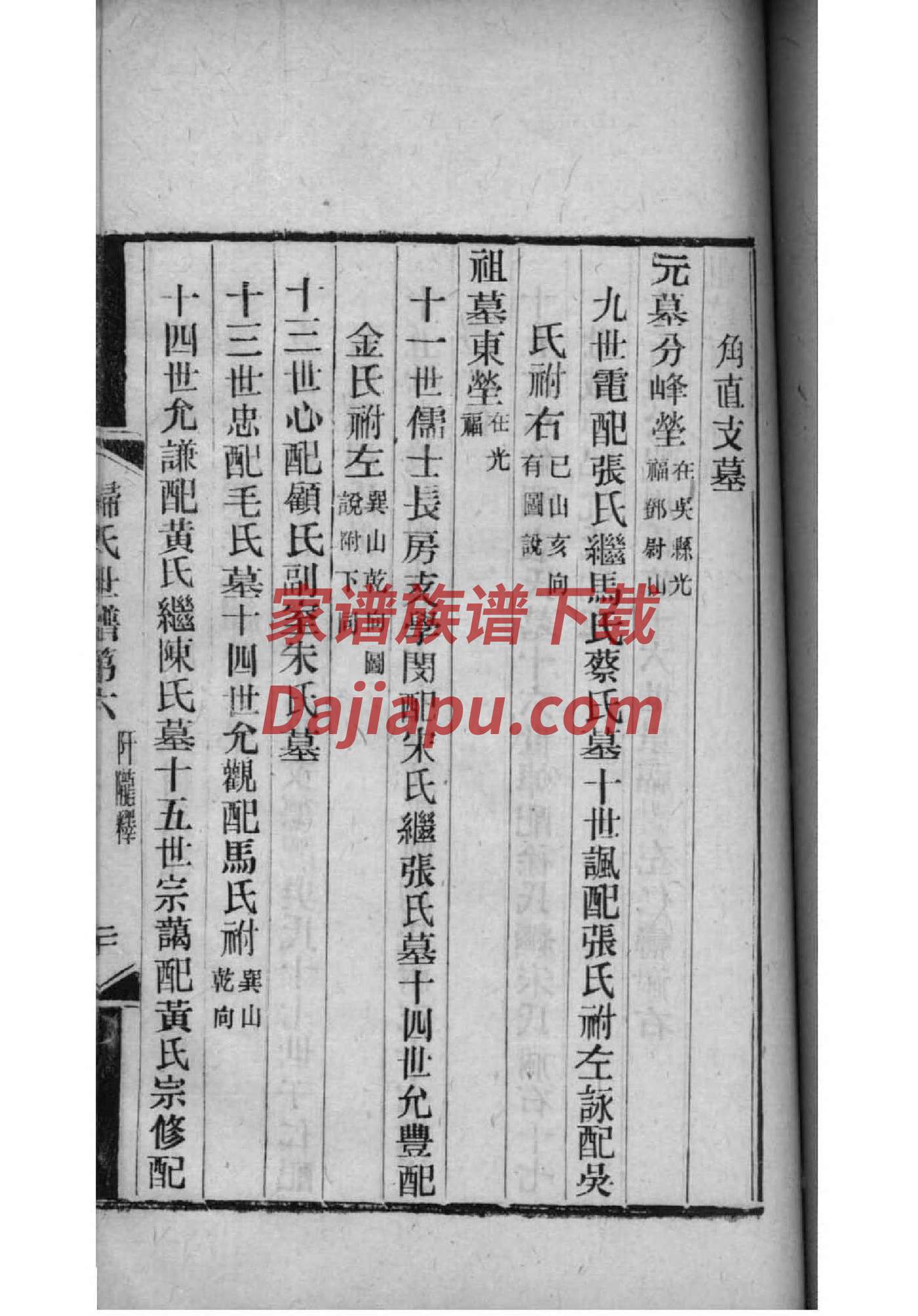 苏式家谱欧式家谱