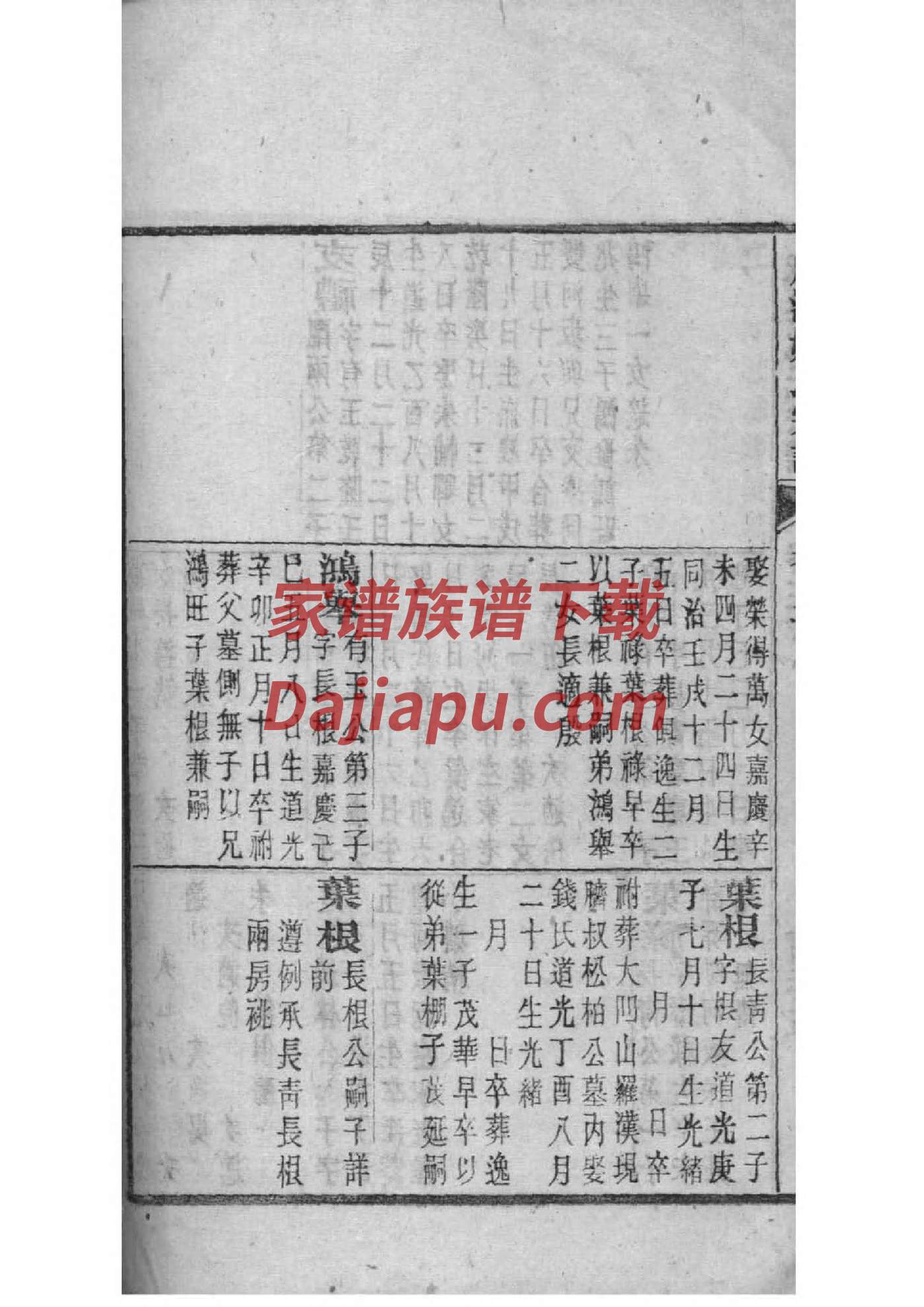 府姓族谱字辈查询全部