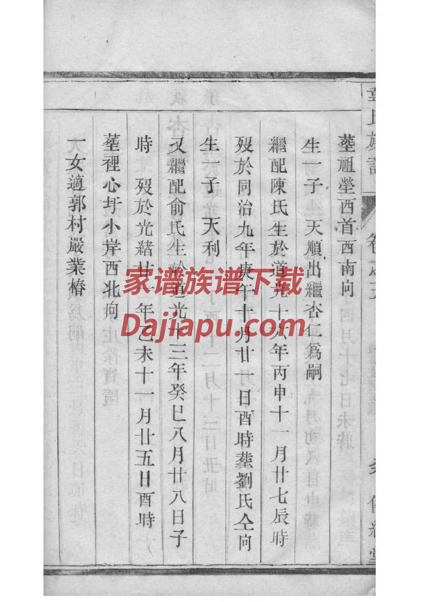 家谱诗句