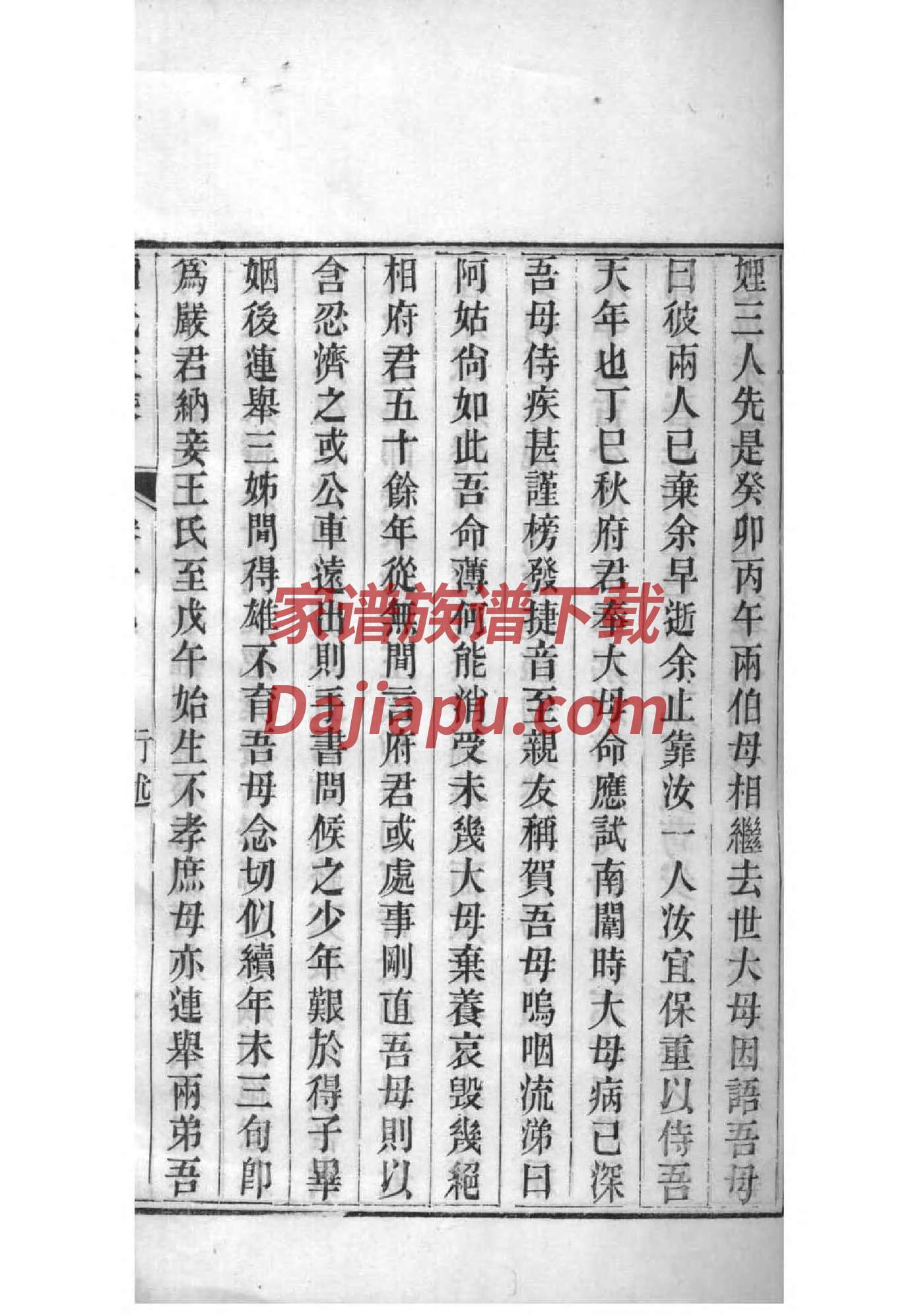 樊氏家谱族谱数据库