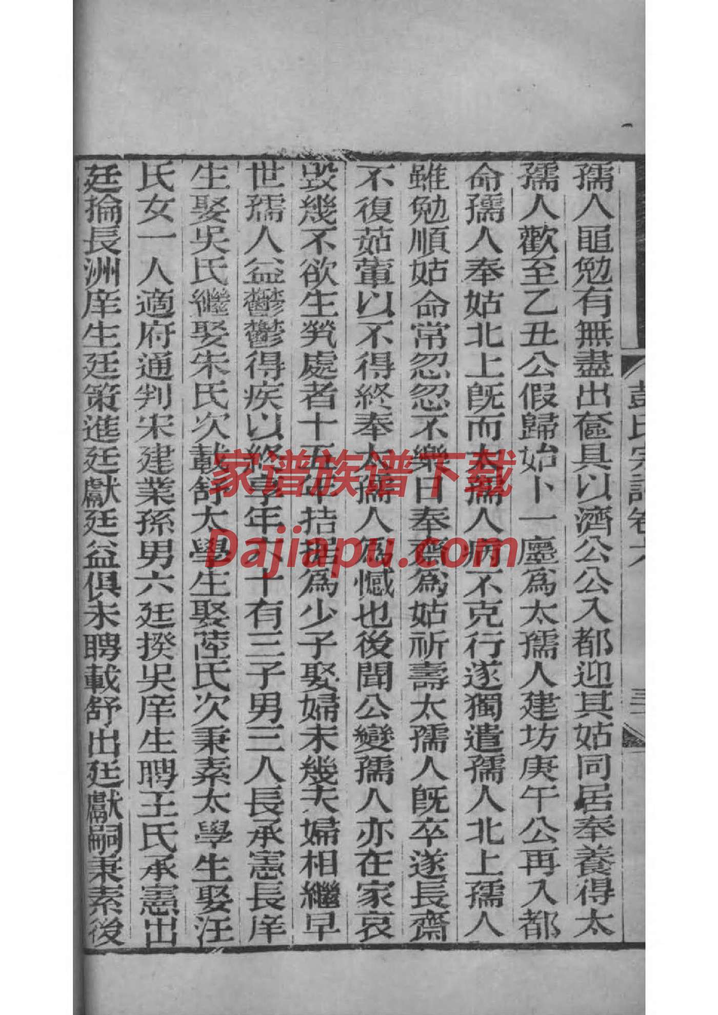 续家谱范本