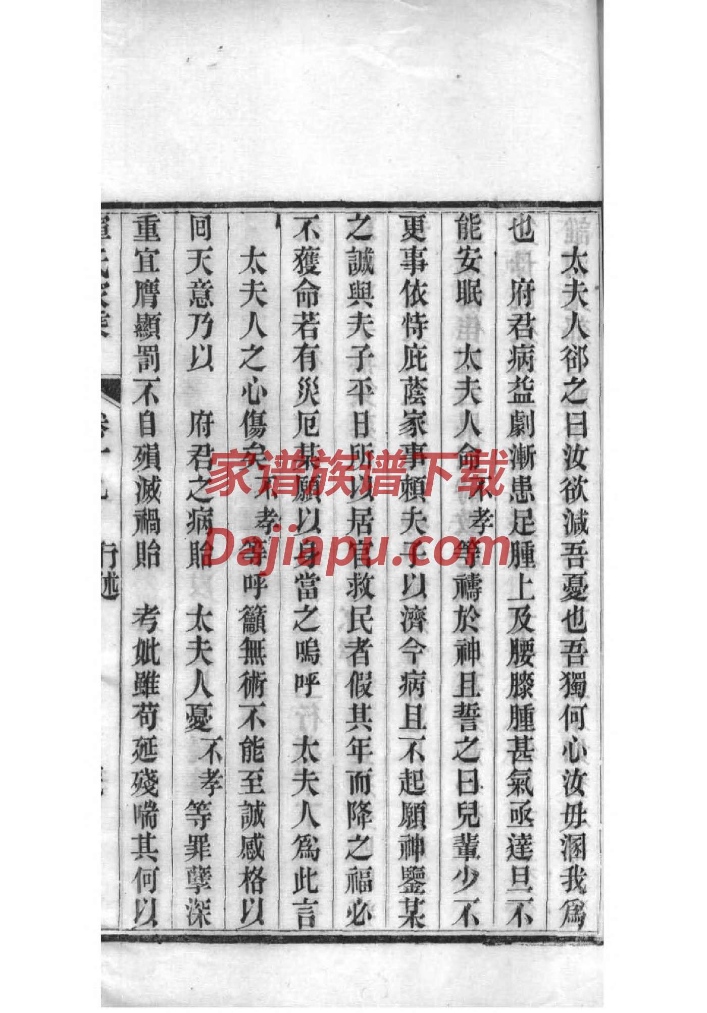 莘姓辈分排行世系表