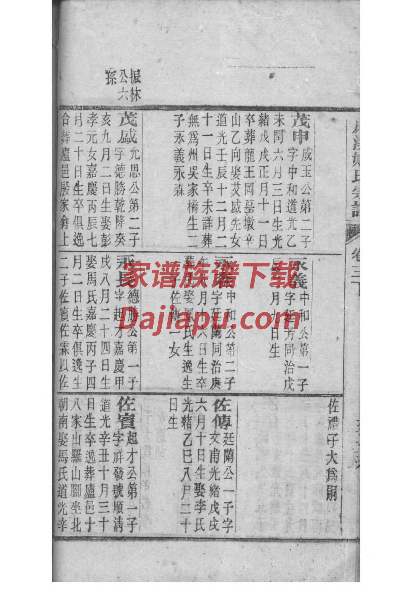 卢氏家谱族谱数据库