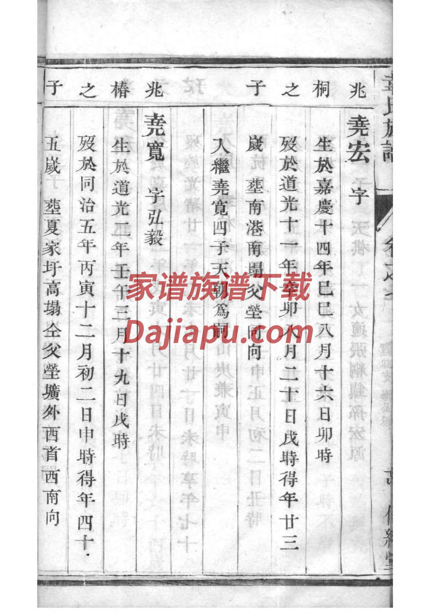 字姓辈分排行世系表
