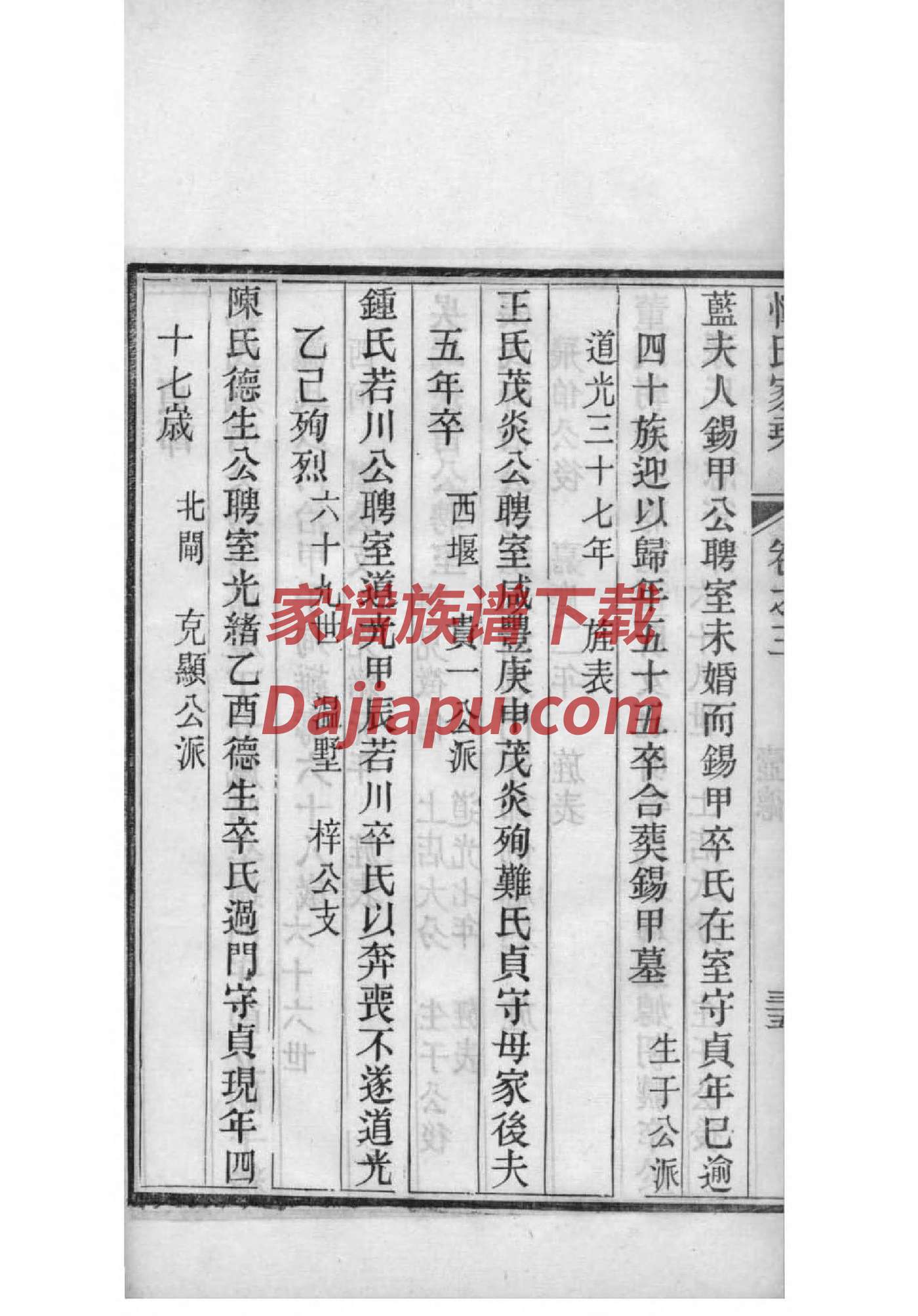 养姓家谱全部辈分大全