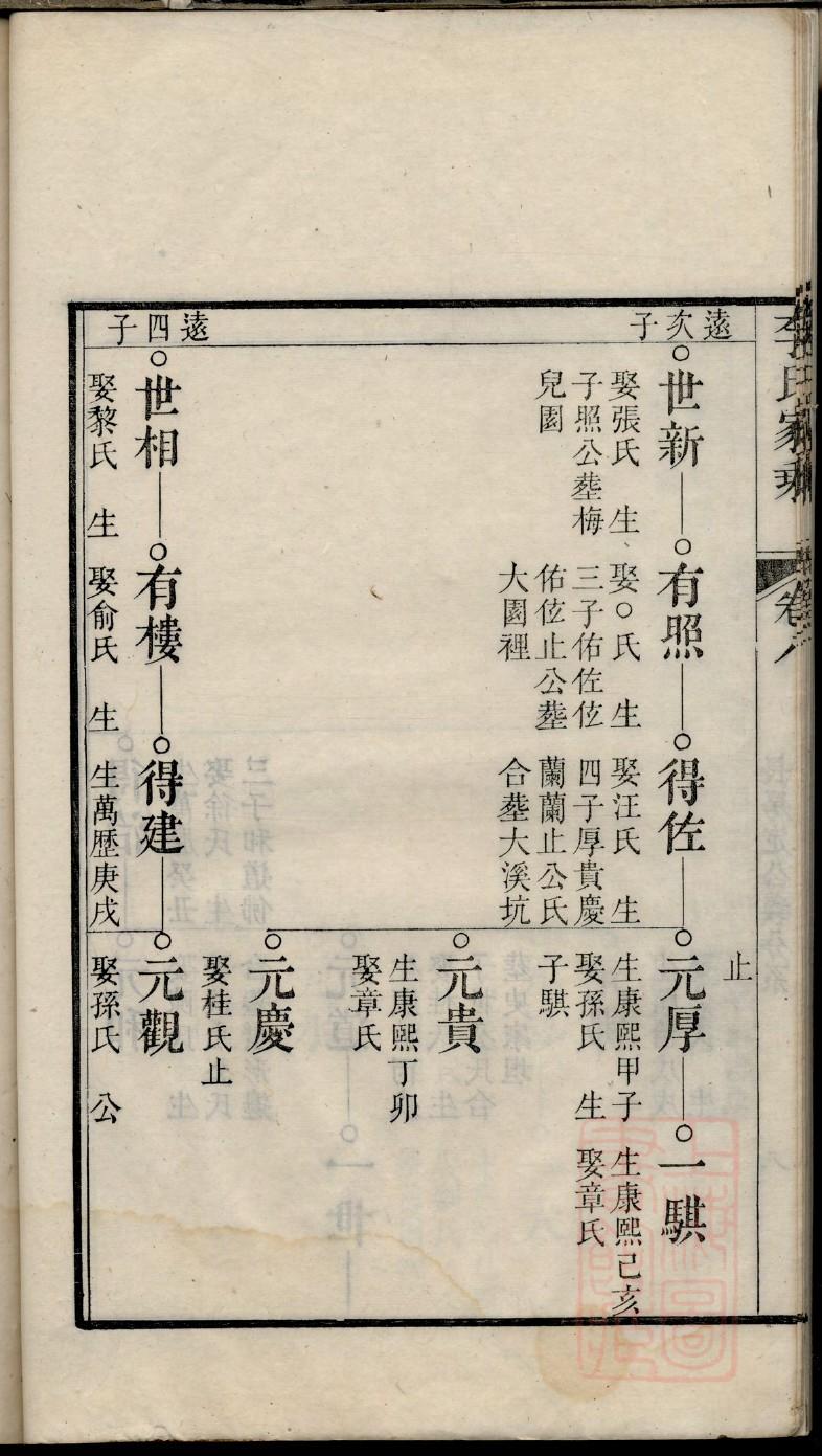 家谱思维导图
