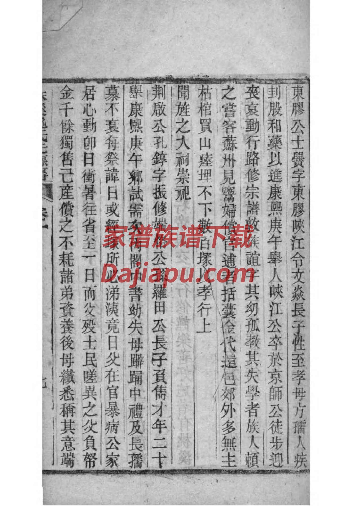 王姓家谱河南