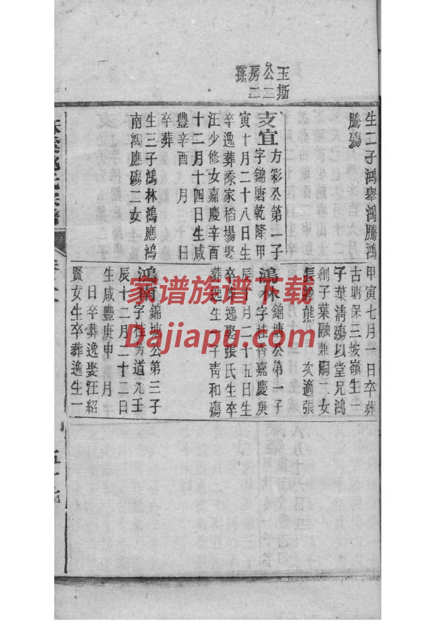 家谱修订表格