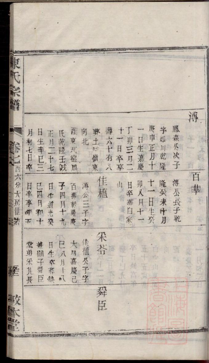 贲氏辈分表