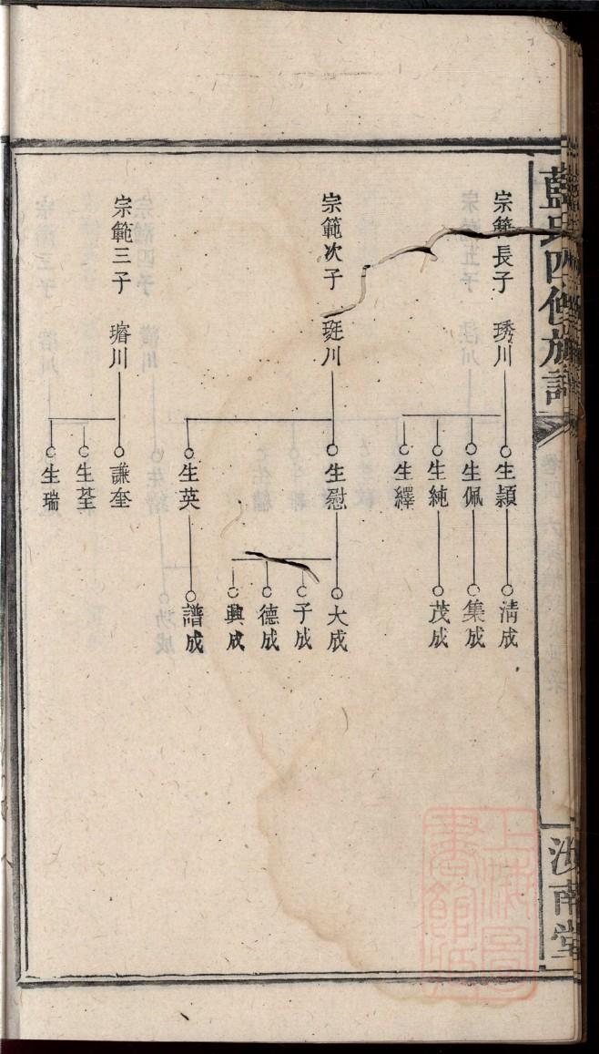 查一下杨氏家谱