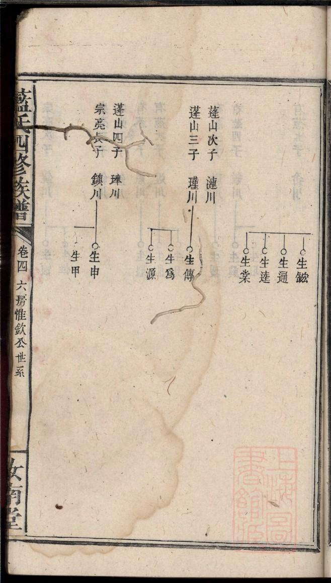 云码家谱软件