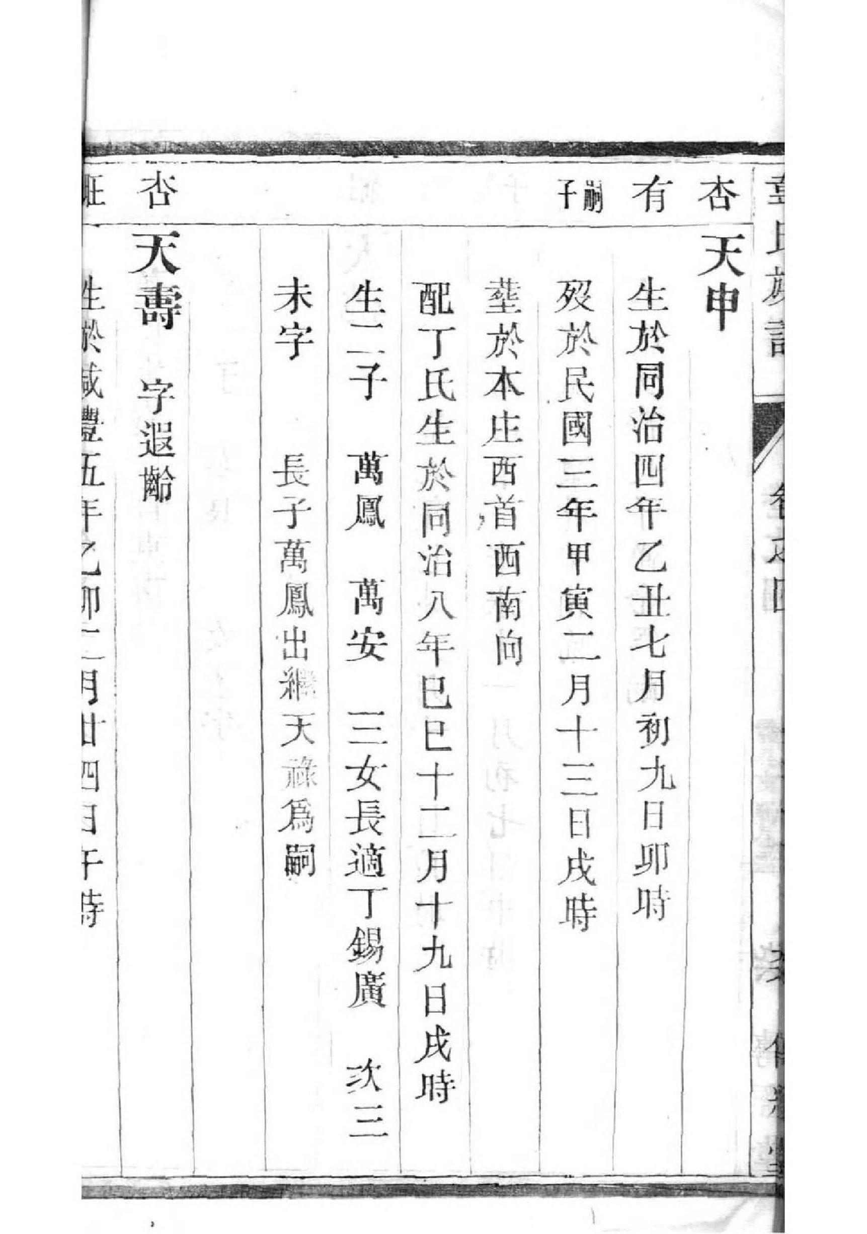 家谱简笔画
