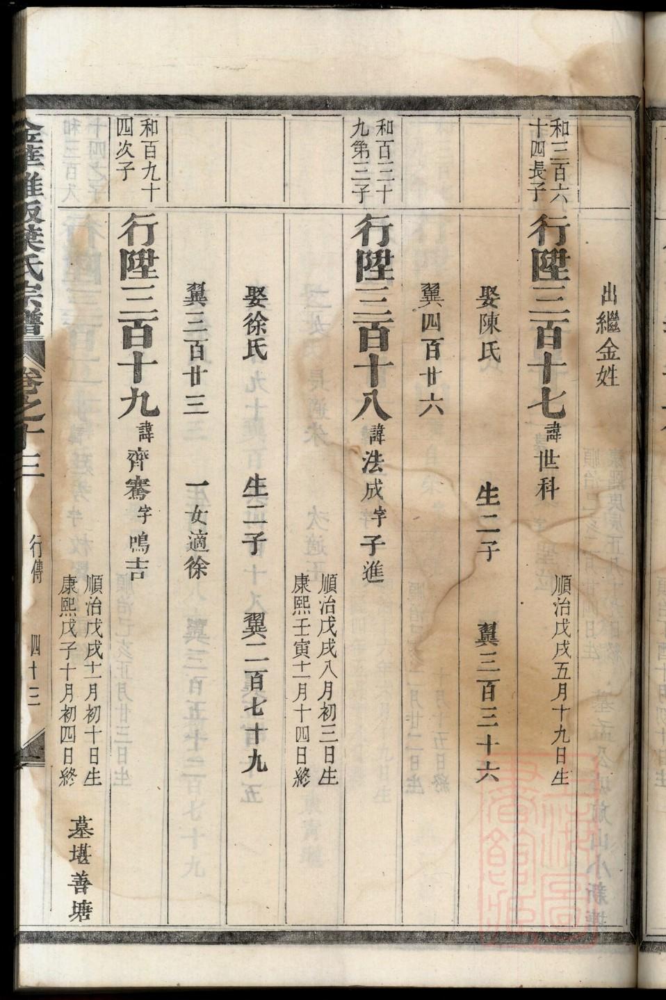 电子家谱制作软件