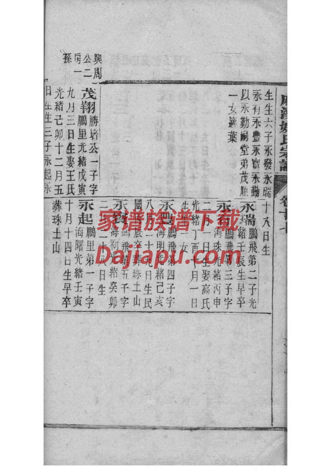 武家的家谱