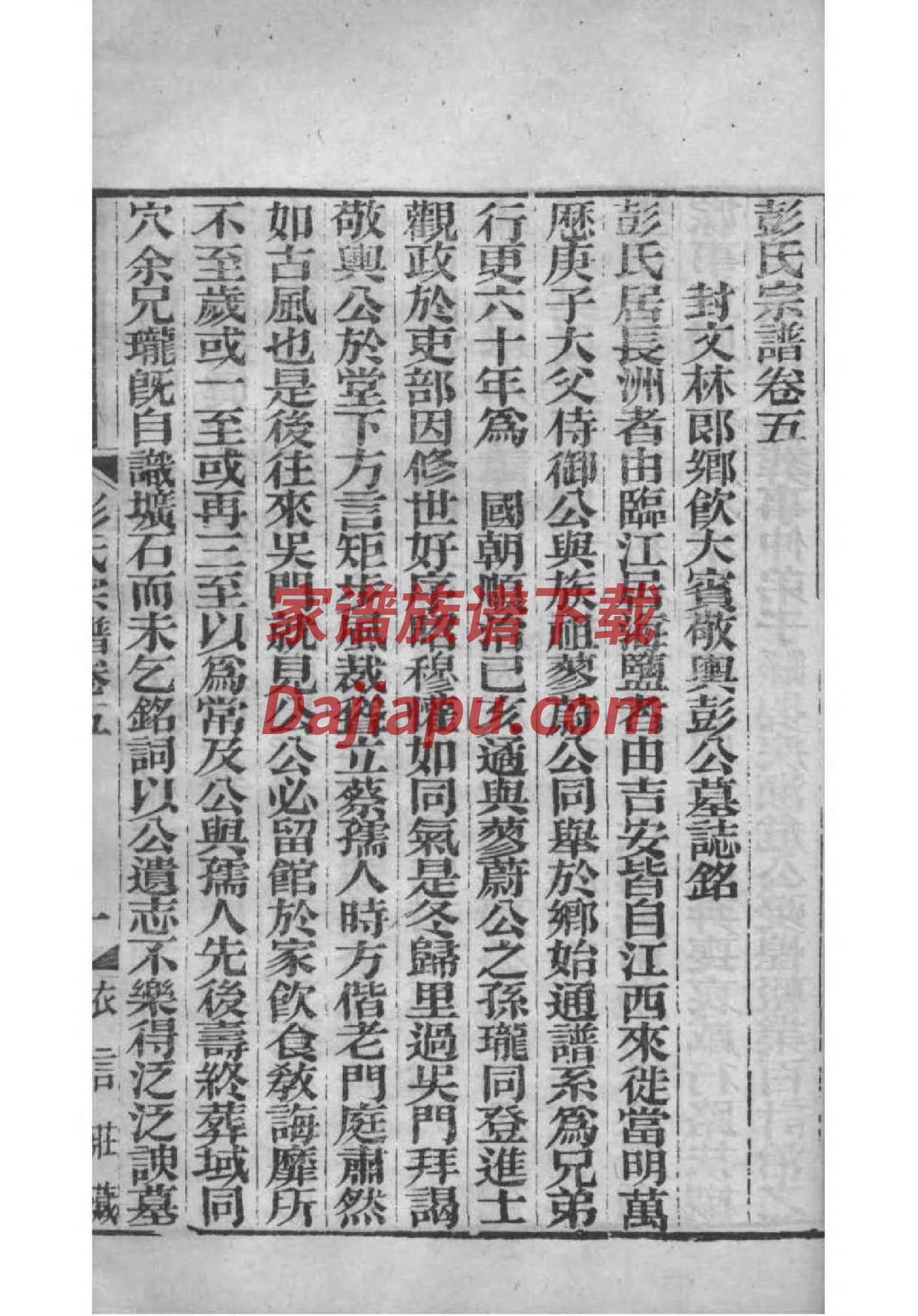 家小报家谱