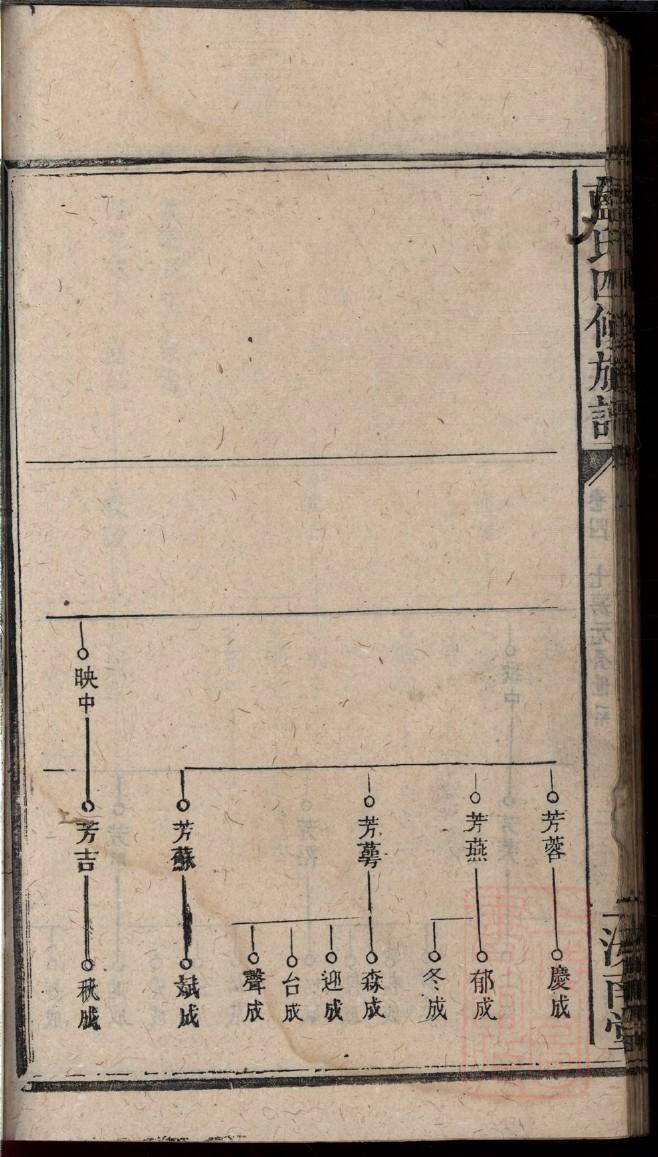 家谱软件
