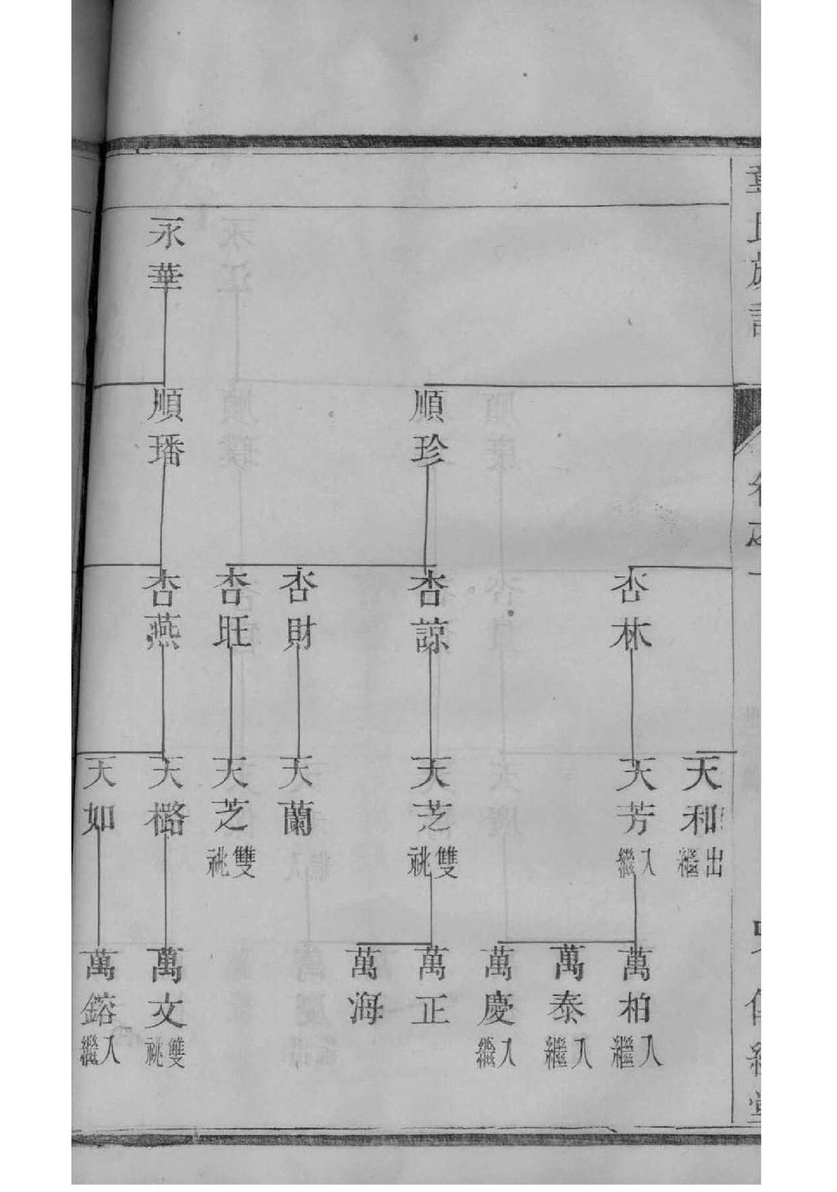 张姓氏的由来和家谱