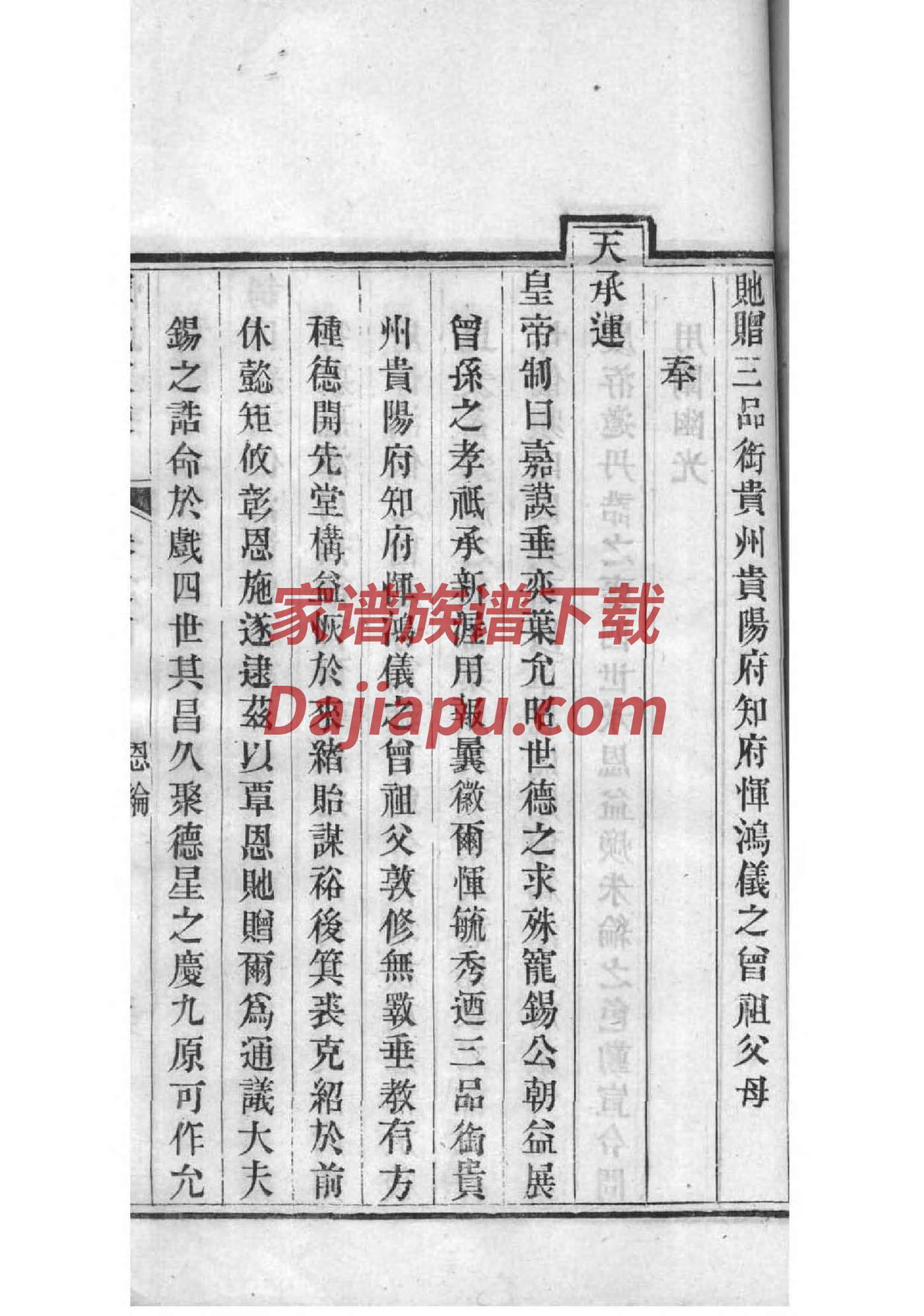家谱树包括哪些内容