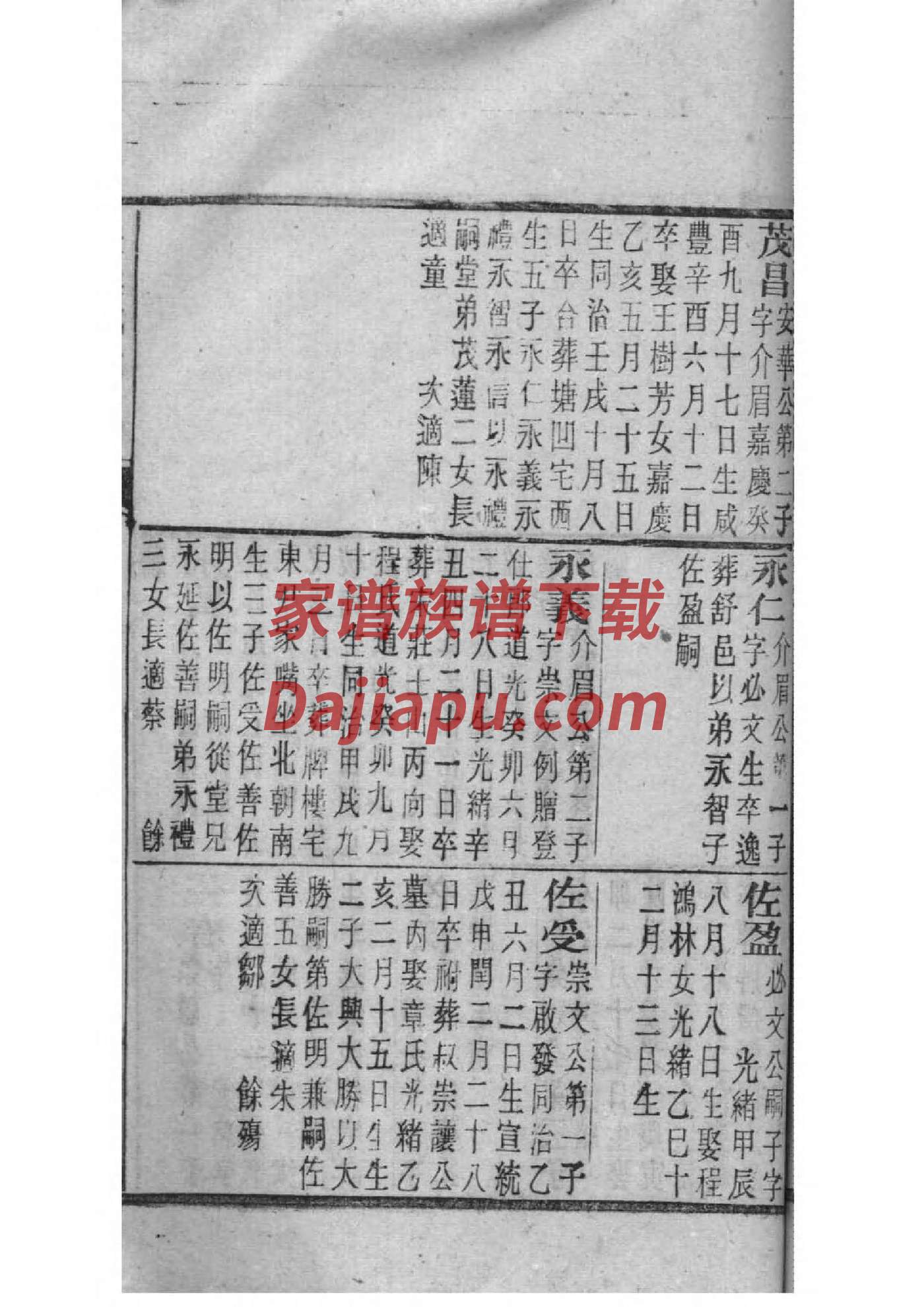 合肥王氏家谱