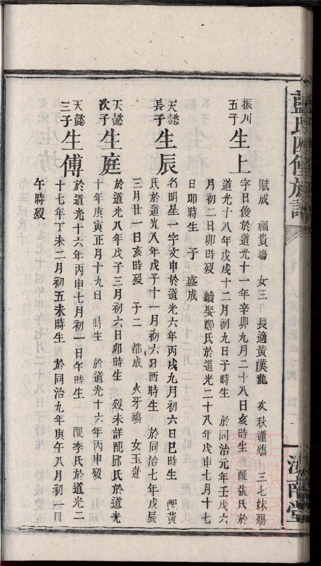 如何制作家谱图表