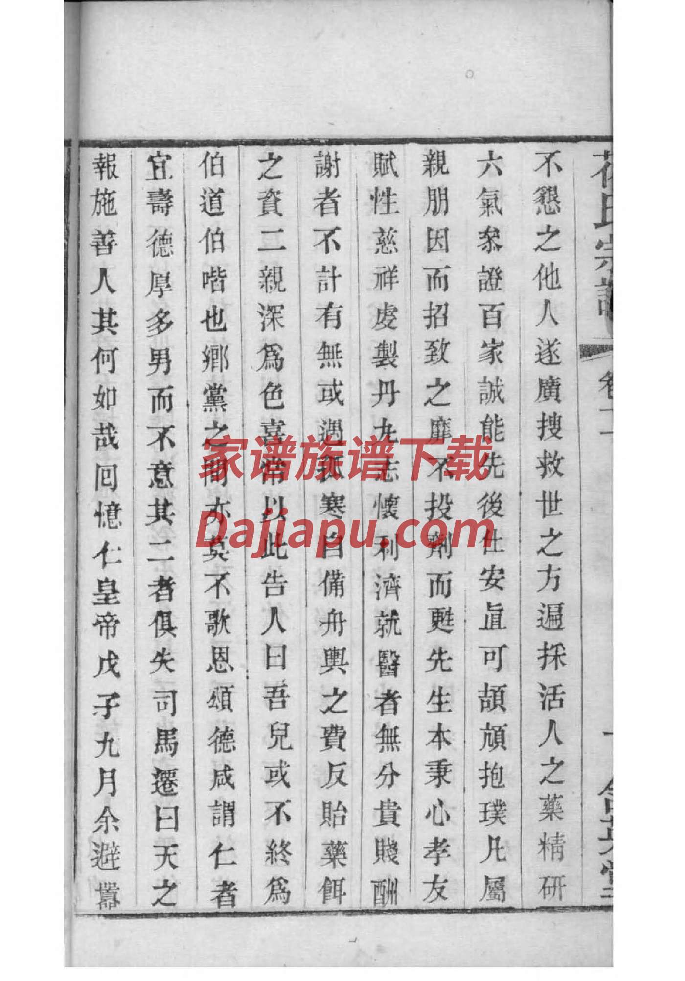 纲目体家谱