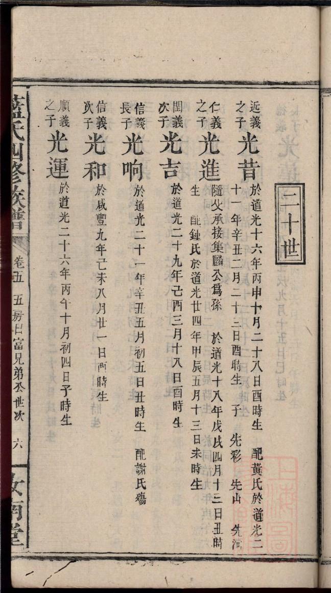 尼图网修家谱图