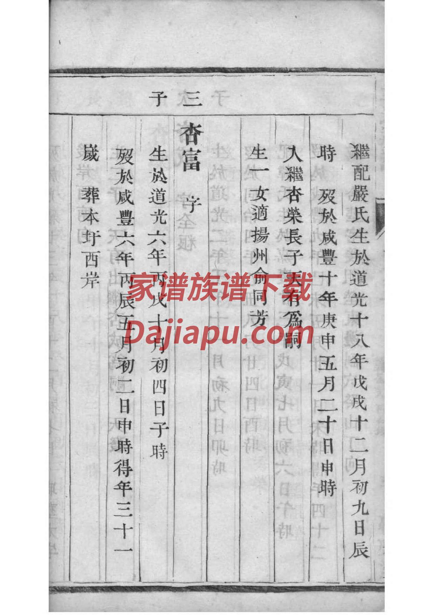 家谱保管