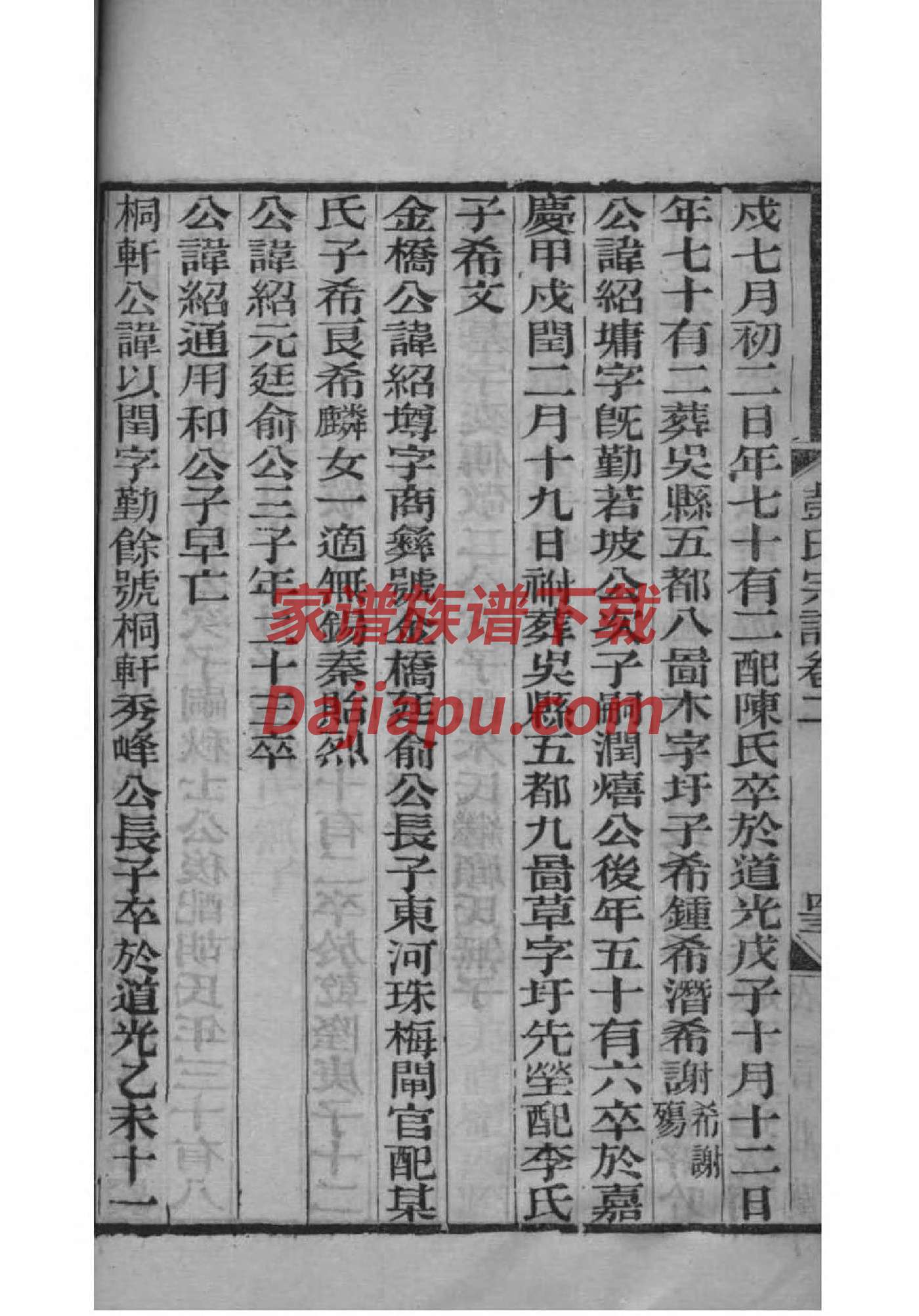 最厉害的家谱