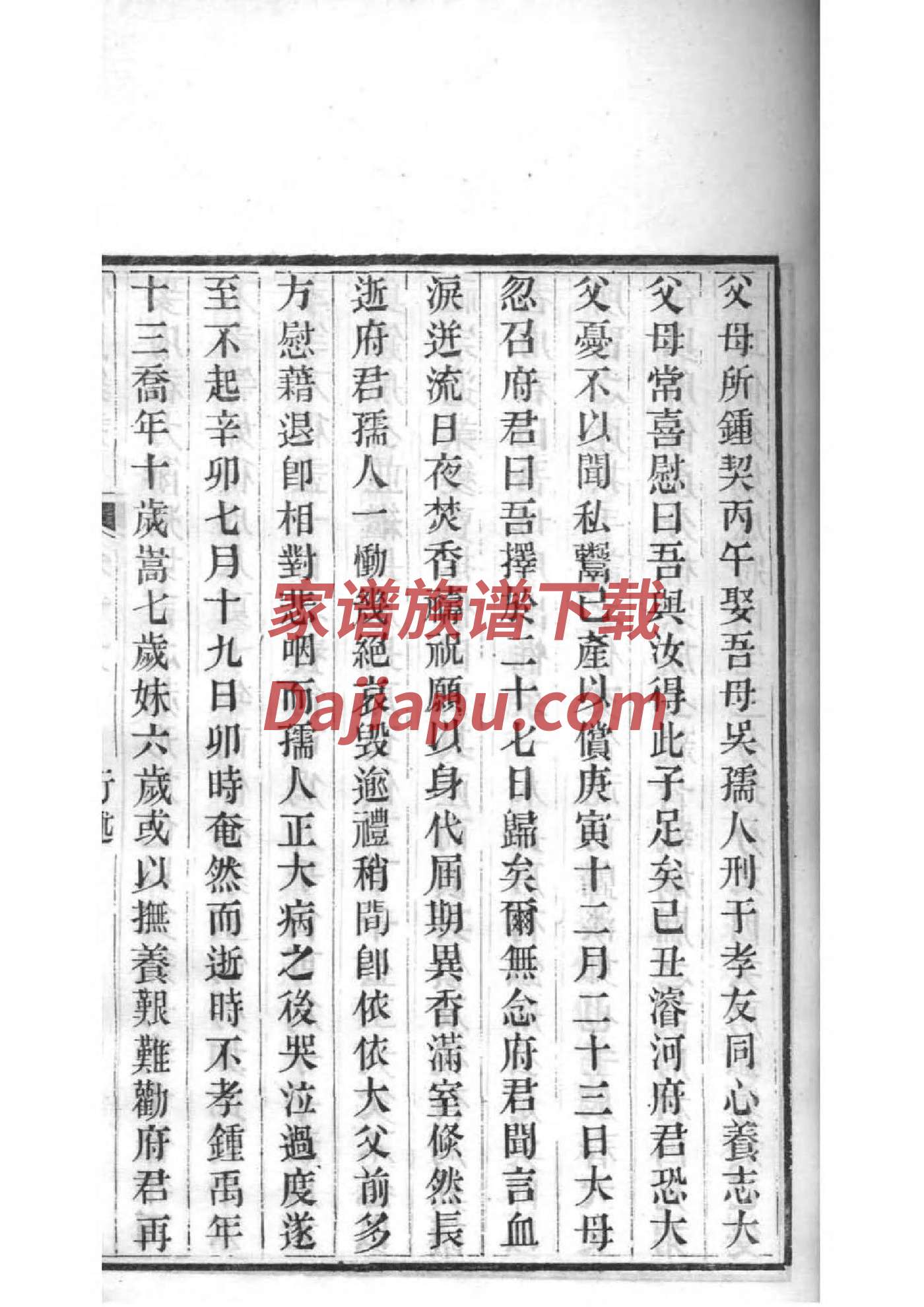 贾家的家谱简图