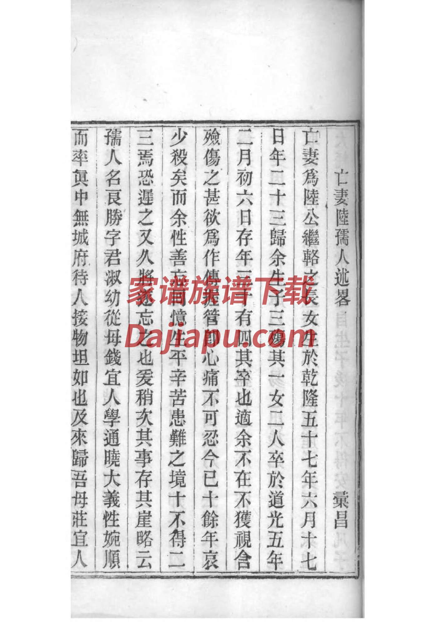 中华张氏族谱