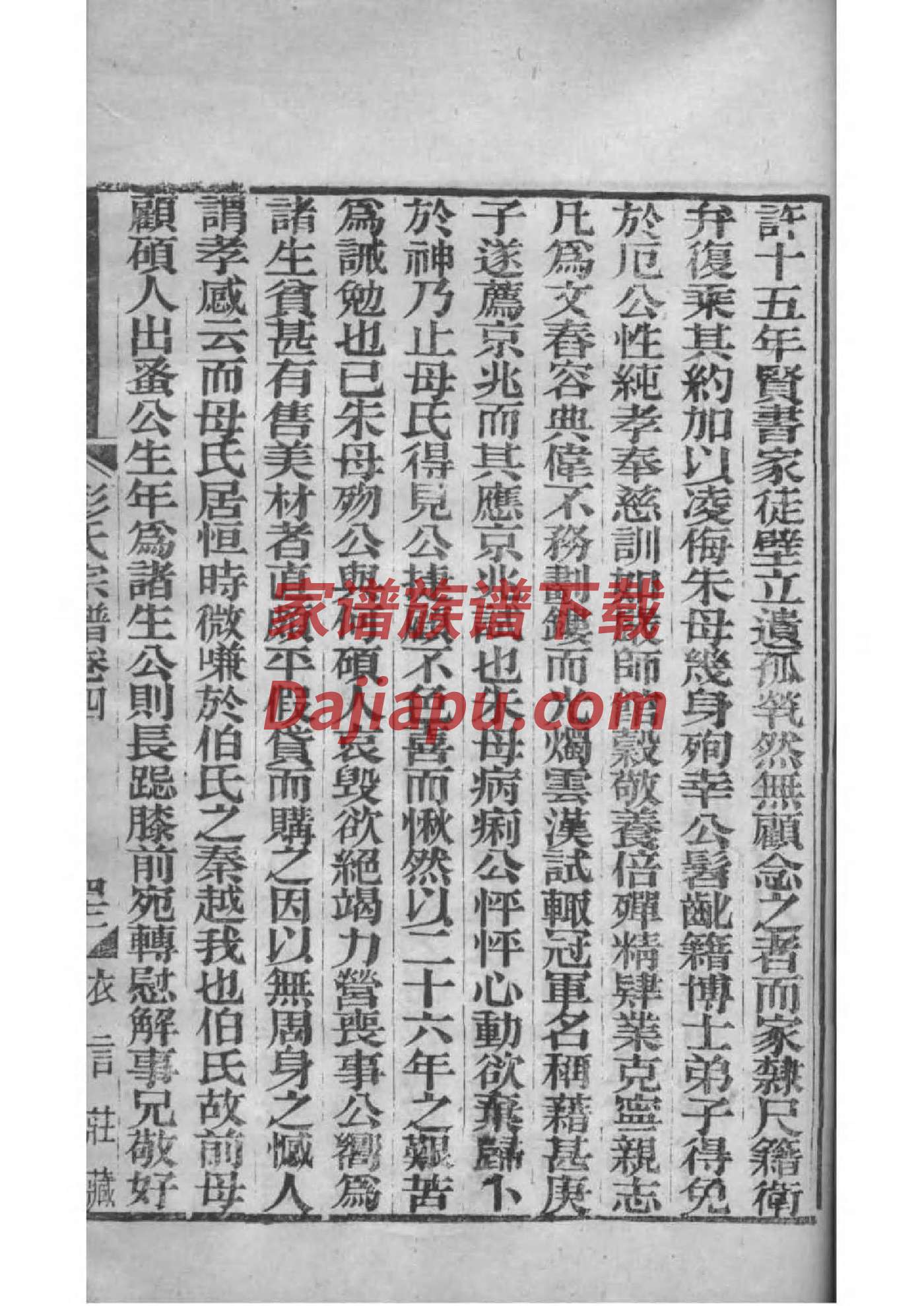 释氏家谱查询一览表